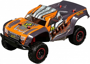 Машинка на р/у Elite Trucks Baja 30 см (Nikko, 10071)